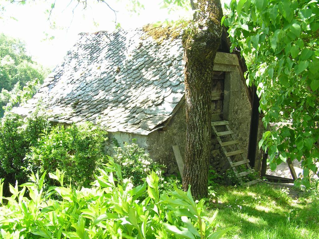 Gite De Carbonies Saint-Félix-de-Lunel Exterior foto